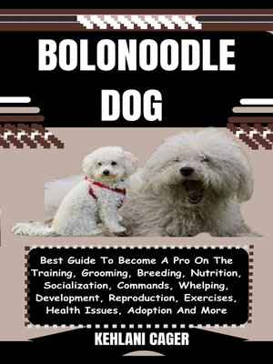 cover image of BOLONOODLE DOG